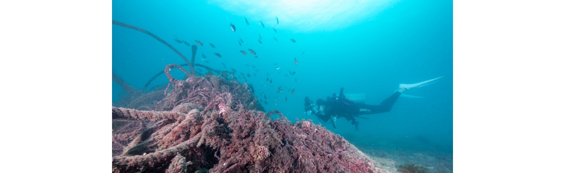 114°E Hong Kong Reef Fish Survey