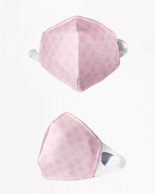 Reusable surgical mask