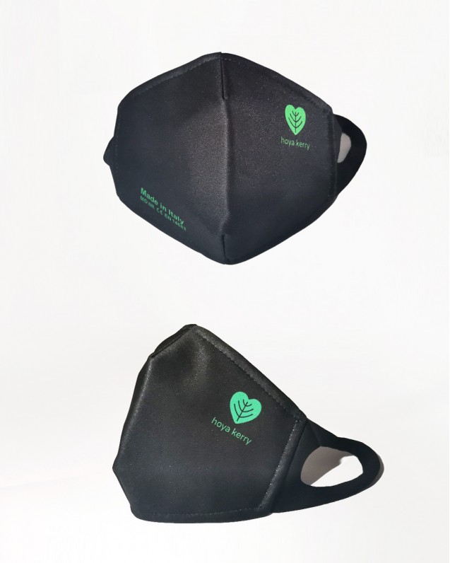Reusable surgical mask
